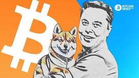 OIN:狗狗币的经济学以及为什么它是一个危险的注_比特币