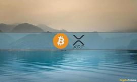 加密货币:XRP 反弹降温购买更多 BTC，市场平静下来：本周的加密货币回顾_Microsponsors