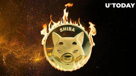 AIN:超过 800 万个 Shiba Inu 代币随着 Meme 硬币的喘息而被烧毁_vechainblockchaintoken
