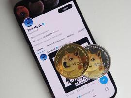 DIG:DigiToads预售中筹集了 245 万美元后成为狗狗币 的强大竞争对手_CHADS币