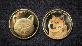 SHI:最大推动者：DOGE、SHIB 合并开始本周_SHIB