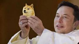 WIT:马斯克被狗狗币买家提告新进展律师：指控像幻想小说，梗图不犯法_Baguette Token