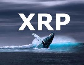 BAS:XRP 巨鲸将 7 亿代币转移到交易所_Webuy