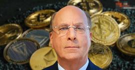 FIN:贝莱德首席执行官就 FTX 崩盘和加密货币公司发表讲话_为什么core币不拉盘了