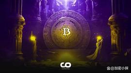 SEC:Peter Schiff 认为灰度的胜利对比特币不利_到底什么是比特币