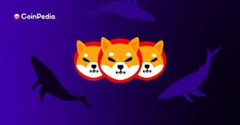 SHIBAI:一周内烧毁超过 17.4 亿只柴犬_Shiba Predator