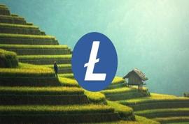 DEFI:随着看跌趋势加剧，LTC 跌至 100.6 美元_RAD