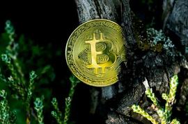 加密货币:加密货币和零工经济对自由职业者和独立承包商的产生的影响！_比特币