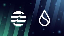 SSW:SUI 被抓到抄袭 Aptos 的代码_ripple币行情