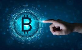 AIN:智能比特币点燃科技创新，BTCDomain引领行业未来！_BitBlocks Finance