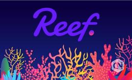 CHA:Reef 分享第二季度的成就_CON