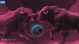 AXS:ETC、AXS、SPCT中哪一个将占据领先地位？_NFI