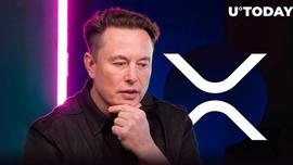 ANC:XRP 大军对埃隆·马斯克的新推文感到满意！_BUSD
