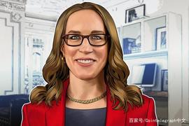 COIN:SEC专员：机构的采用凸显了明确的加密规则的迫切性_Holographic Doge