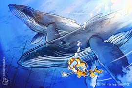 OPTI:比特币鲸鱼向彭博社解释：为什么加密货币波动性将下降_MBBASED价格