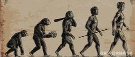 区块链:人类的600万年，信任的600万年_维纳斯