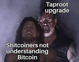 BTC:BTCFi是突破还是泡沫_DeFireX