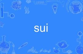 DAPP:Sui开发者必读：MOVE语言及技术特性_ODE