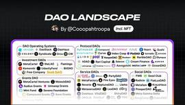 COOP:DAO 的全景图：金融和社会资本之间的关系_SNFTS币
