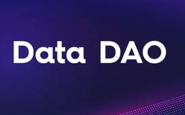比特币:探讨DAO代币估值框架：该如何为治理代币定价？_BRC