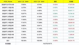 SYNC:脱水大字报：小牛顶或仍未到来（1.31）_ZKS