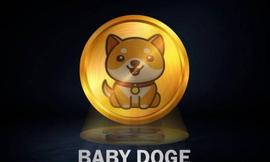INF:Baby Doge 团队暗示秘密人工智能项目，代币上涨 3%_INFI