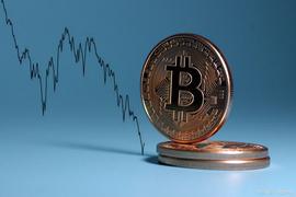 COIN:Cathie Wood 的 Ark Invest 购买 Coinbase 和 Tesla股票_EtherInc Coin