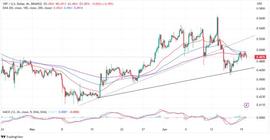 OUSE:XRP 价格低于 0.5 美元：尽管价格低迷，是时候增持 XRP 了吗？_PPL