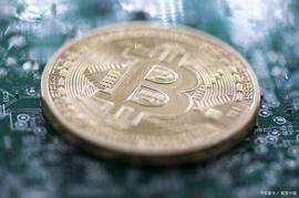 NFT:BTC 鲸鱼交易活动处于关键转折点；是看涨还是看跌？_ADA