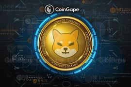 MAC:这就是为什么Shiba Inu恢复可能在未来一周表现优于比特币的原因_SHIBAX价格