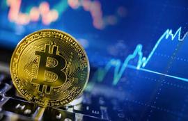 HALE:XRP 价格飙升？鲸鱼捕获了数百万的 XRP_xrp瑞波币孙宇晨