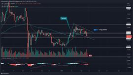 XRP:新的看涨模式暗示 XRP 硬币的下一次复苏反弹可能达到 0.5 美元_PPL