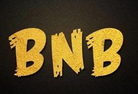BUSD:币安将在 BNB 智能链 (BSC) 上销毁价值 20 亿美元的闲置 BUSD_BSC