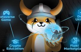 FLOKI:FLOKI 人气飙升，memecoin 舞台群魔乱舞_Floki Inu