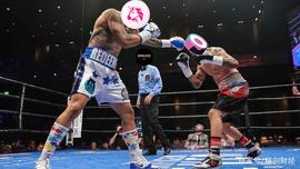 BSV:DEX冠军大战：Uniswap VS Sushiswap_以太坊官网app下载注册