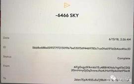 OIN:Skycoin抢劫案惊天反转，究竟谁是狼人？_thedinosuarcoin