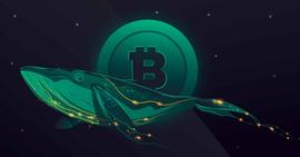 加密货币:1.3 亿 XRP 转移到 Bitso，比特币见证超过 17000 BTC 大规模移动_BCARD