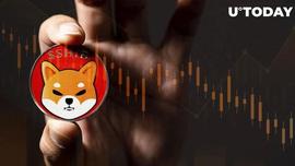 FTX:柴犬（SHIB）极度无利可图，链上数据显示，这对资产意味着什么_TrueUSD