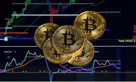 比特币:比特币家族将 100 万美元的 BTC 转移到去中心化交易所_去中心化交易所