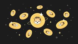 ELON:多吉隆火星 (ELON/USD) 现在吸引大量追随者的模因币是怎么回事？_ELONFLOKI价格