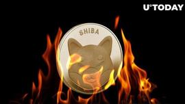 metamask:SHIB 燃烧率回升 64%，原因如下_FSHIB
