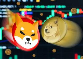 DOGE:加密货币：如果经济衰退袭来 2023 年，Memecoin 会生存吗？_MEM
