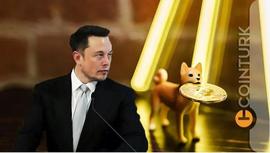 ALA:Elon Musk 和 Dogecoin 创始人是否在等待这前五名山寨币的崩盘？_togetherbnb更新了吗