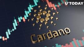 CARD:大玩家购买了 2.172 亿个 Cardano 代币，ADA 在一周内上涨了 10%_ALUCARD价格