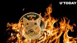 SHI:SHIB军队烧伤太小受到抨击：“我们需要更多年，什么都不会改变”_SHIB