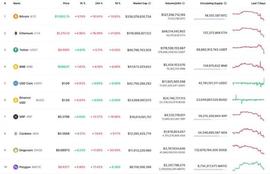 SHI:11 月 9 日的 DOGE 和 SHIB 分析_DOGE