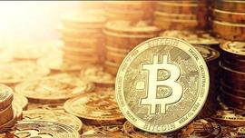 狗狗币:伊隆马斯克在推特上：比特币会成功_比特币怎么挖出来的