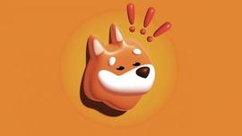 SOL:Solana：BONK暴跌66%，还能比得上SHIB、DOGE吗？_LANA