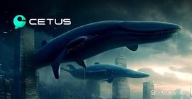ORA:AC Capital：我们为何要投资Cetus_SLGO价格