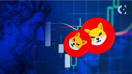 SOL:SHIB 尽管价格大幅下跌但仍位居趋势榜第二_EFI